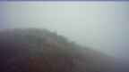 20251008_064108.jpg 