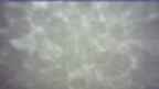 20260429_054054.jpg 
