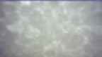 20260429_060059.jpg 