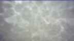 20260429_074126.jpg 
