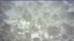 20260429_164114.jpg 