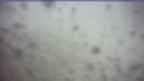 20260504_180136.jpg 