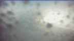 20260505_062110.jpg 
