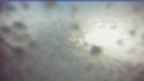 20260505_064124.jpg 