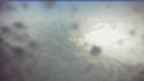 20260505_070120.jpg 