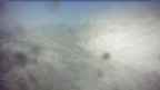 20260505_080131.jpg 