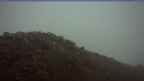 20260528_042039.jpg 