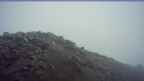 20260528_050056.jpg 