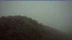 20260529_042035.jpg 
