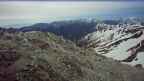 20260602_044038.jpg 