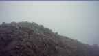 20260603_074106.jpg 