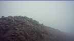 20260609_060108.jpg 