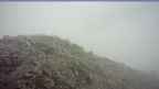 20260625_092125.jpg 