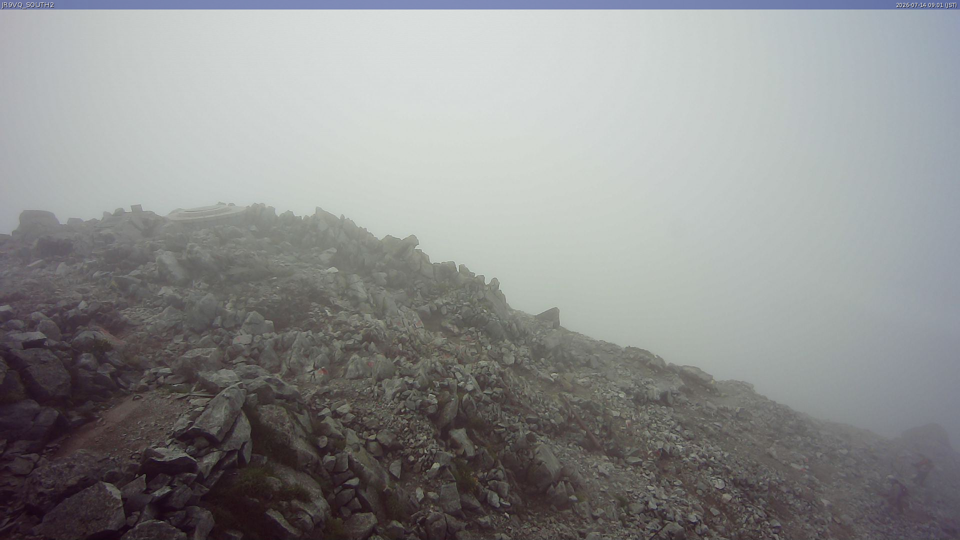 live camera picture