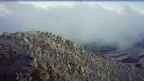 20260710_190036.jpg 