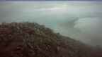 20260718_044036.jpg 