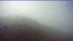 20260831_074130.jpg 
