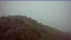 20260911_054059.jpg 