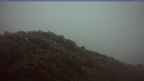 20260916_052058.jpg 