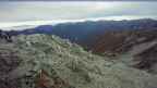 20261004_062035.jpg 