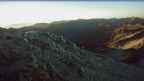 20261010_060038.jpg 