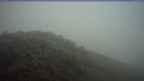 20261020_060042.jpg 