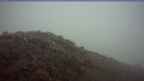 20261024_062038.jpg 