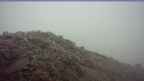 20261024_084036.jpg 